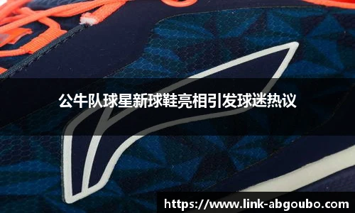 公牛队球星新球鞋亮相引发球迷热议