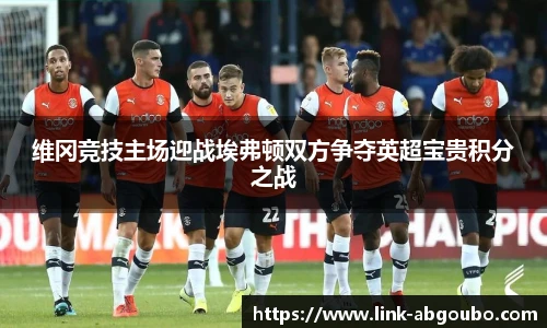 维冈竞技主场迎战埃弗顿双方争夺英超宝贵积分之战