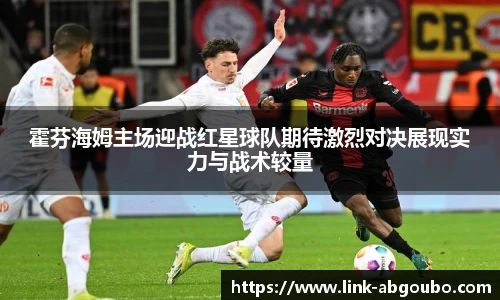 霍芬海姆主场迎战红星球队期待激烈对决展现实力与战术较量